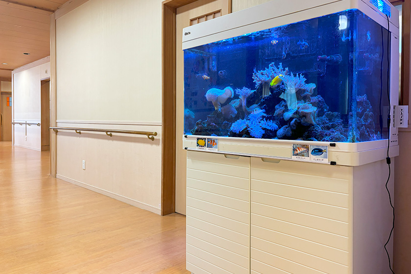 グループホームソラストてらどの画像（3）